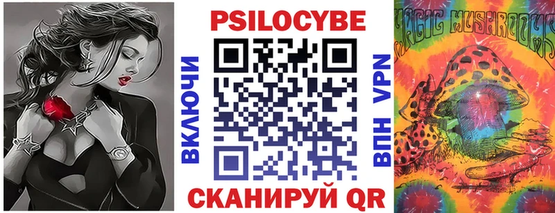 Галлюциногенные грибы Psilocybine cubensis  Староминская 